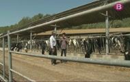 L'encant de Santa Gertrudis de Fruitera