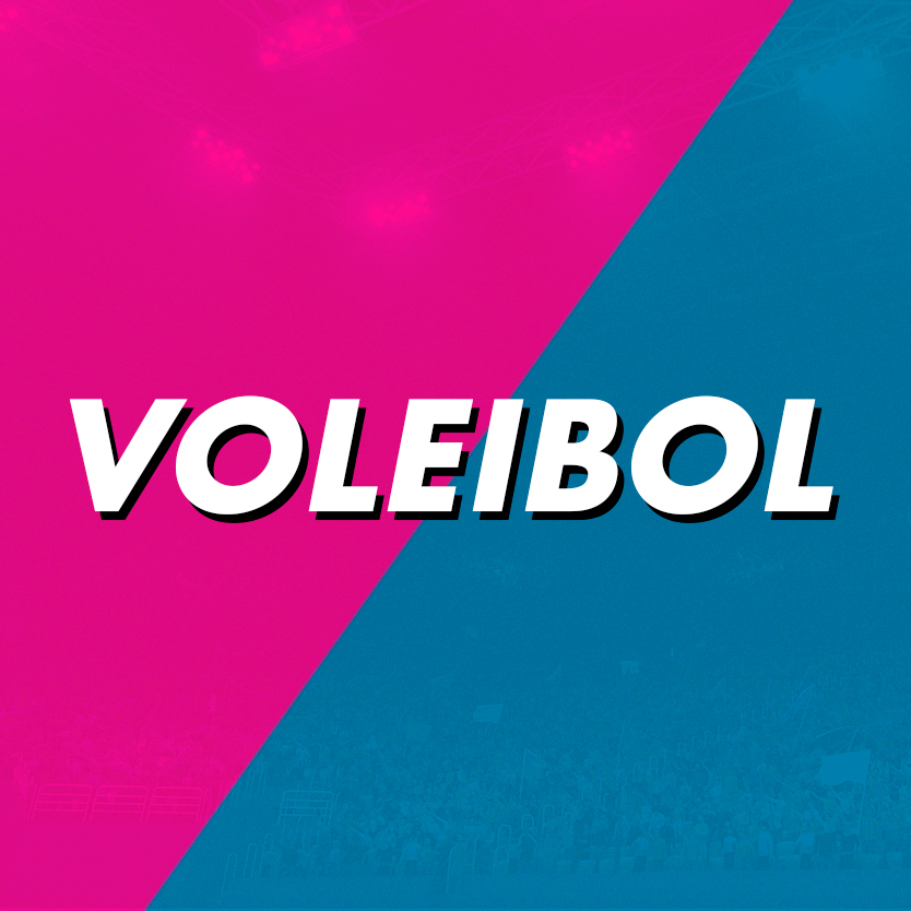 Volei