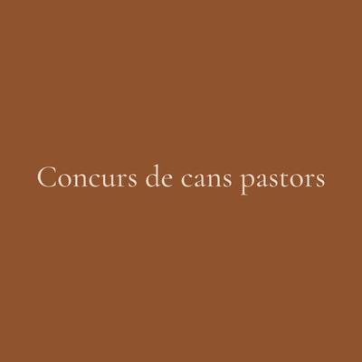 Concurs de cans pastors