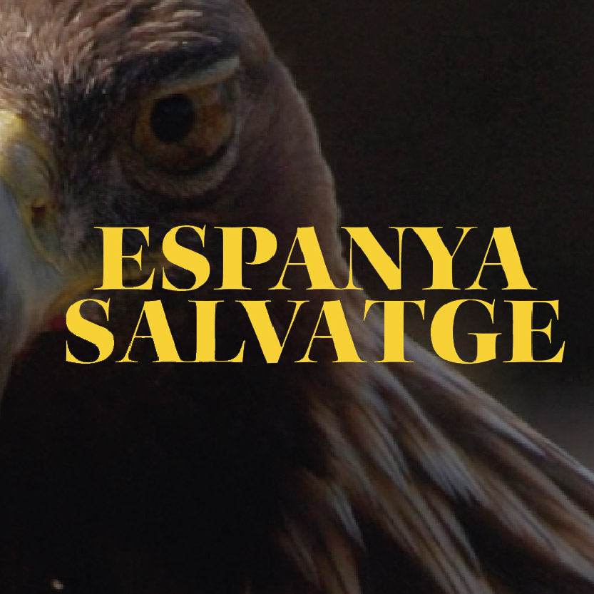 Espanya salvatge
