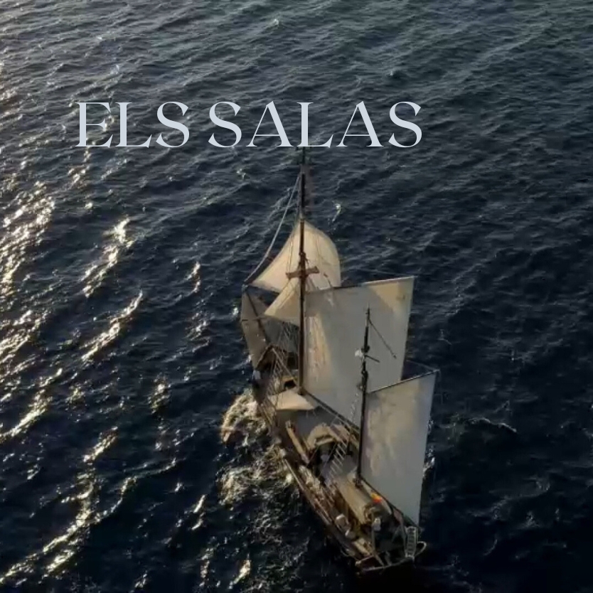 Els Salas: La Nissaga