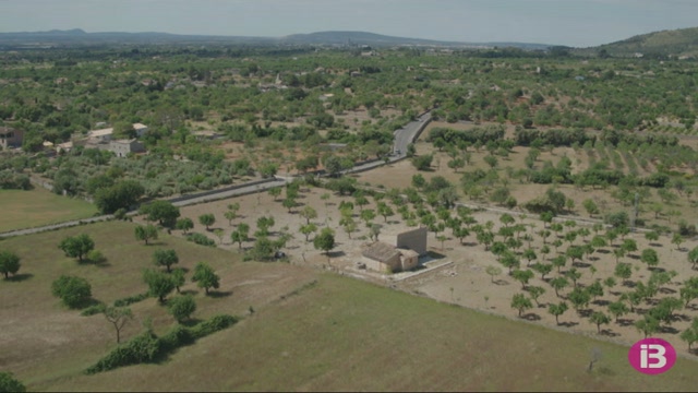 Lloseta, Mancor i Selva