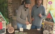 Feim un hotel per a insectes