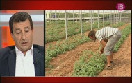 Debat sectorial amb Biel Company (PP), Martí March (PSIB-PSOE), Nel Martí (Més per Menorca) i Xavier Pericay (Ciutadans)