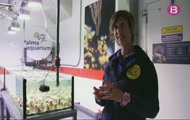 Un Palma Aquarium per descobrir, modelisme naval i una nau d'autor