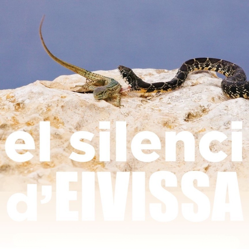 El silenci d'Eivissa