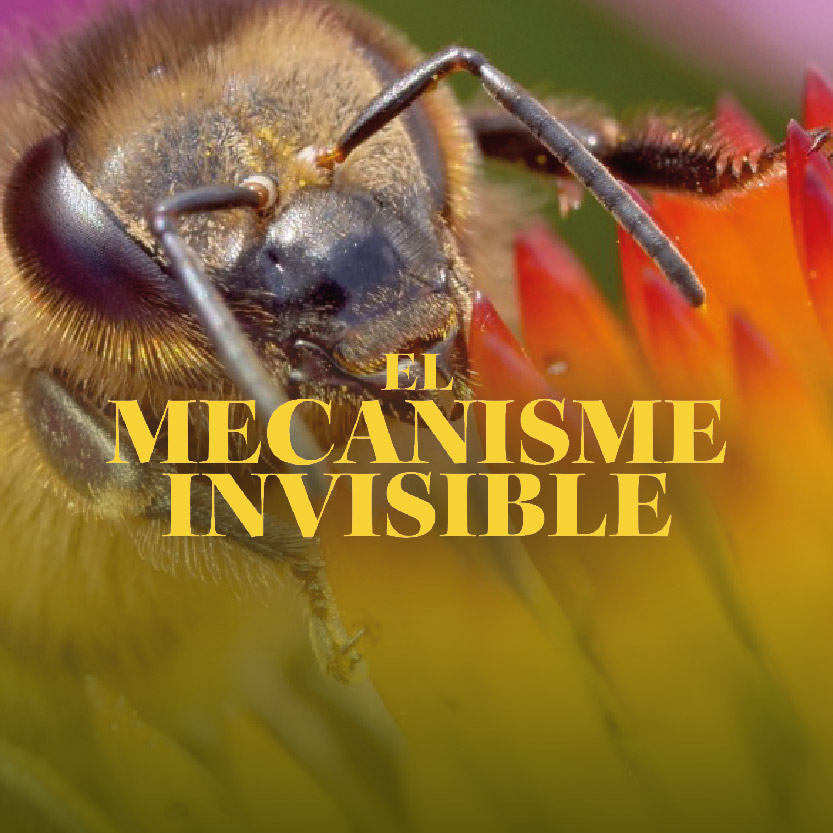 El mecanisme invisible