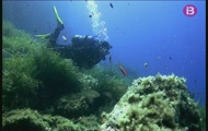 Immersió a Menorca