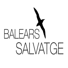 Balears salvatge