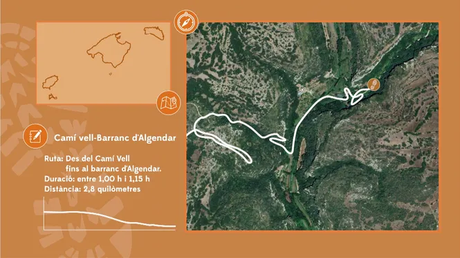 CAMÍ VELL