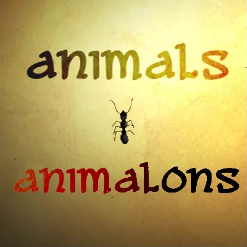 Animals Animalons