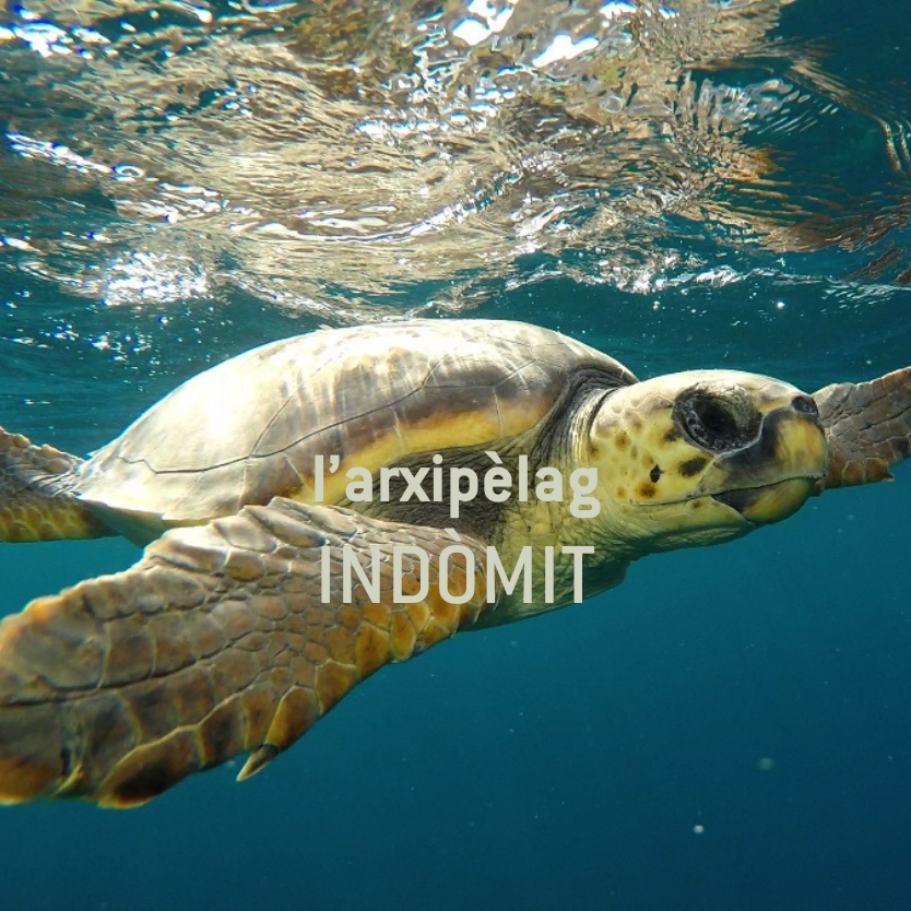 L'arxipèlag indòmit