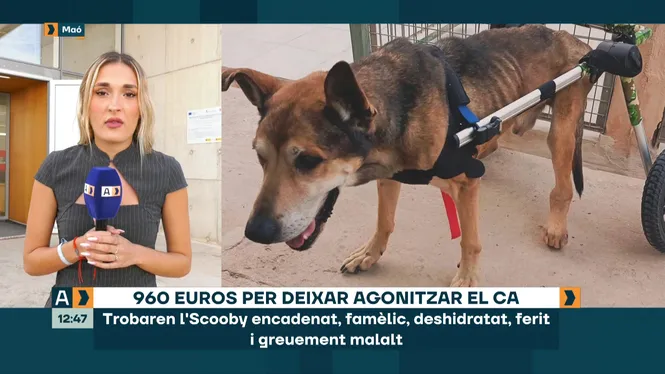 ARA MATEIX 08/10/26