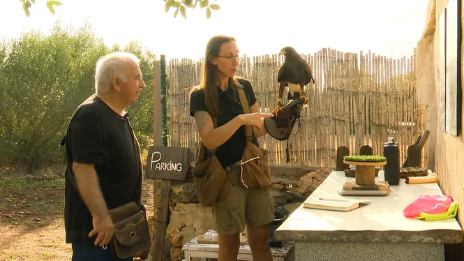 VISITAREM UN SANTUARI D'AUS RAPINYAIRES A ALGAIDA, ANIREM A LA TROBADA DE LLAURADORS A PORRERES I CUINAREM FORMATJADES A CIUTADELLA.