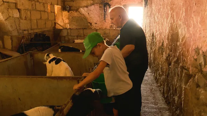 ANIREM A BINILLUBET DES MERCADAL A DONAR UNA SORPRESA I SEMBRAREM COLFLORIS I FAVES A ALGAIDA
