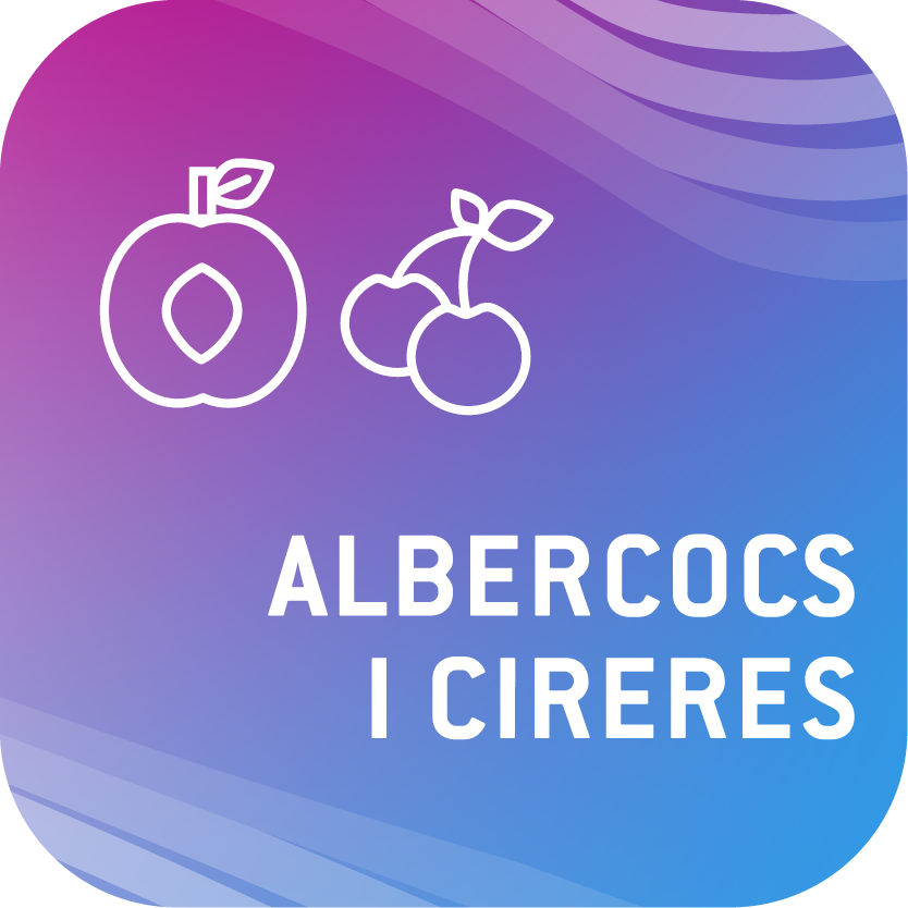 Albercocs I Cireres